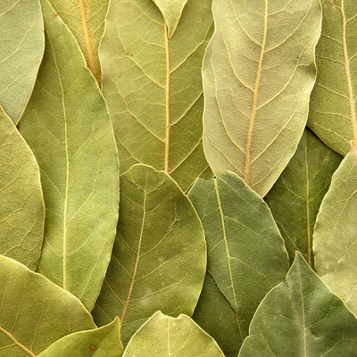 Bay Leaf for Taste and Aroma